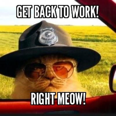 GET-BACK-TO-WORK-21-RIGHT-MEOW-21.jpg