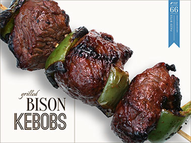 bisonkebob